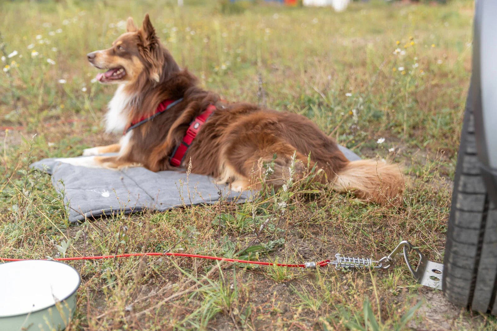 Auffahrplatte zum Anleinen - Image 3