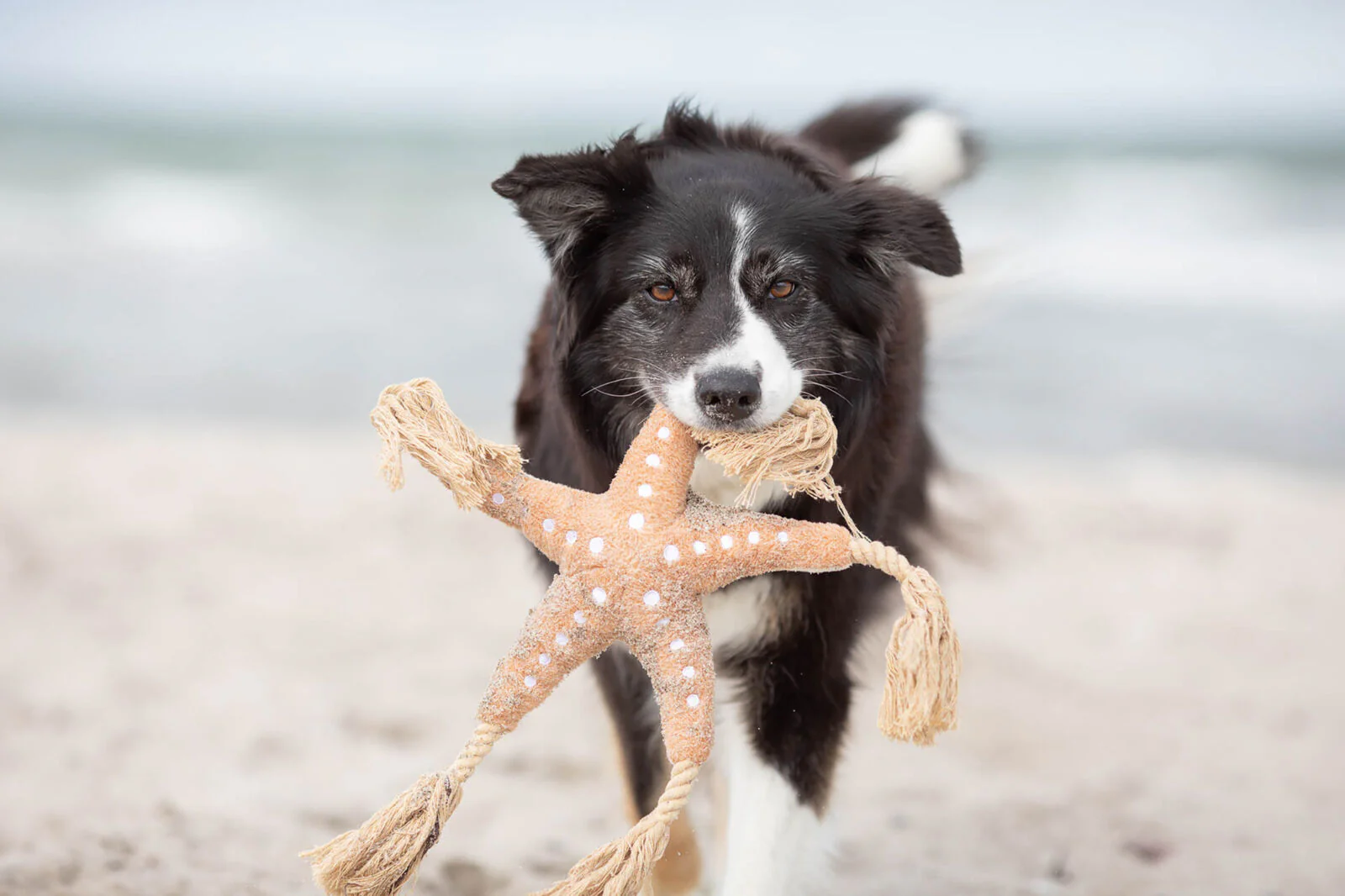 BE NORDIC Seestern Jane - Image 5