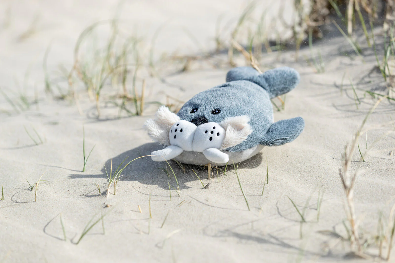 BE NORDIC Walross Til - Image 3