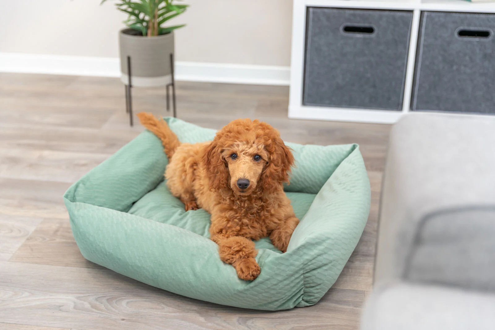 Bett Alena - Image 9