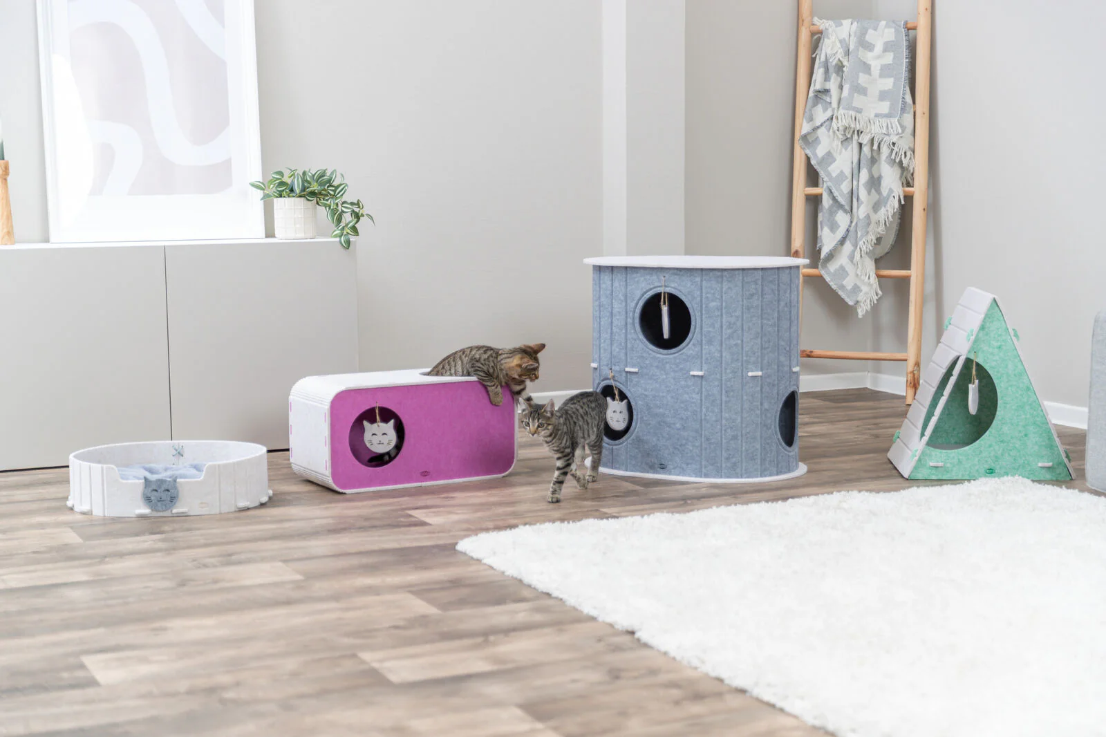 Bett Emelie - Image 7