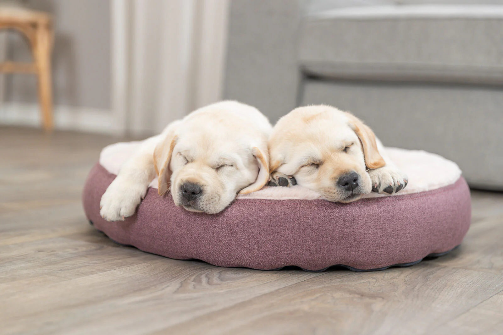 Bett Felicia - Image 3