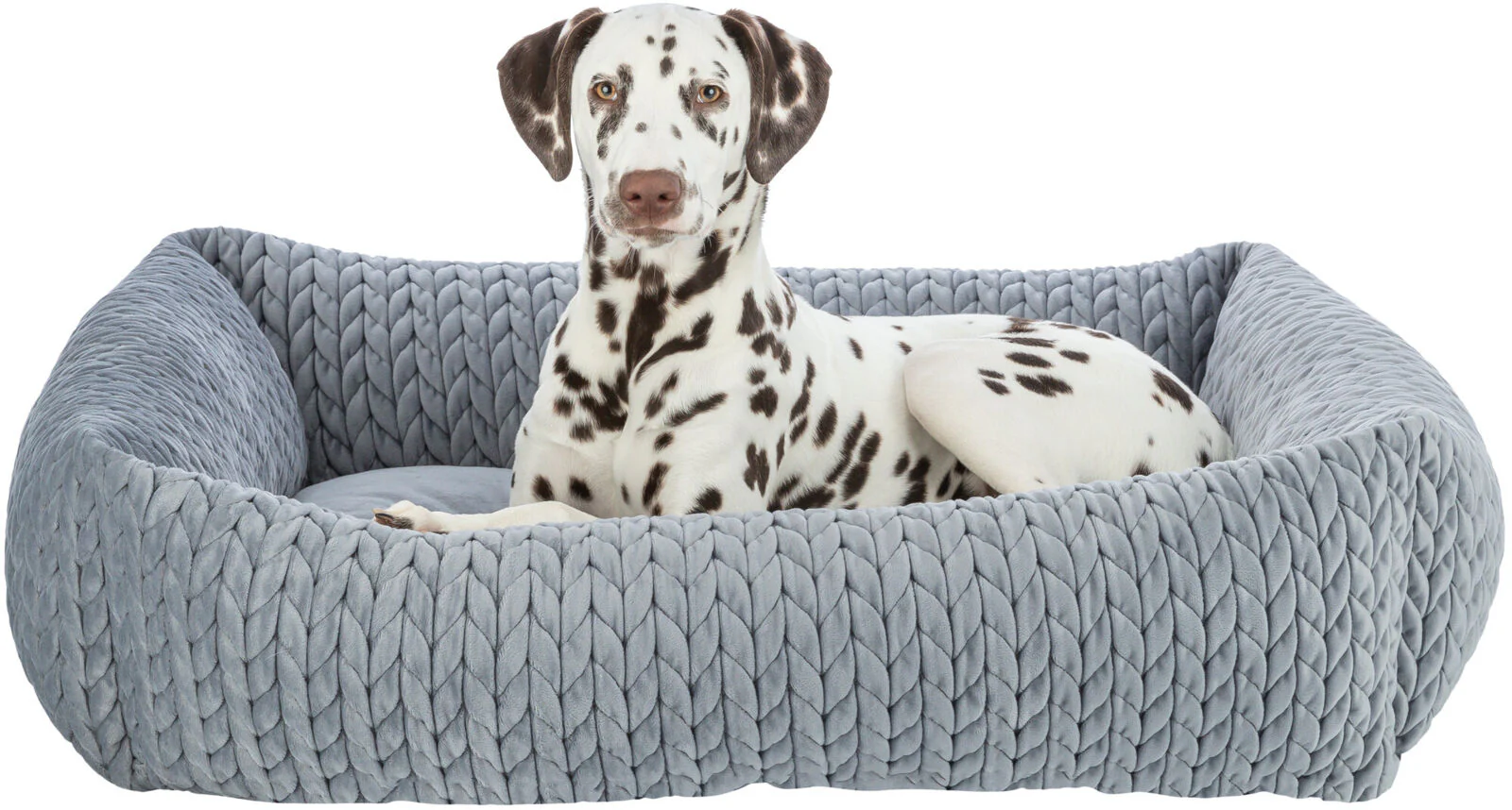 Bett Livia - Image 4