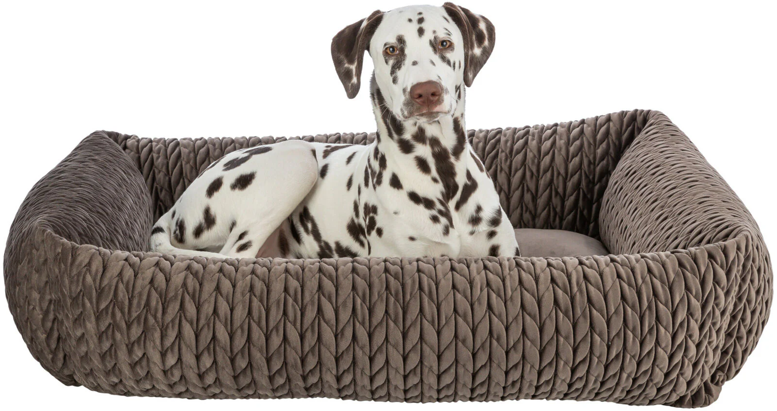 Bett Livia - Image 8