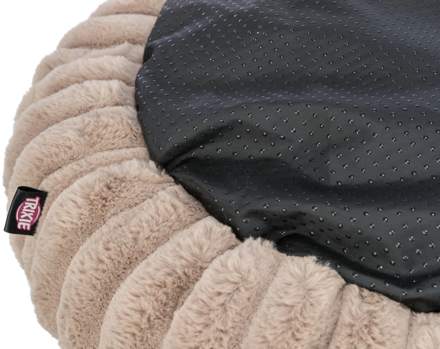 Bett Lonni - Image 8