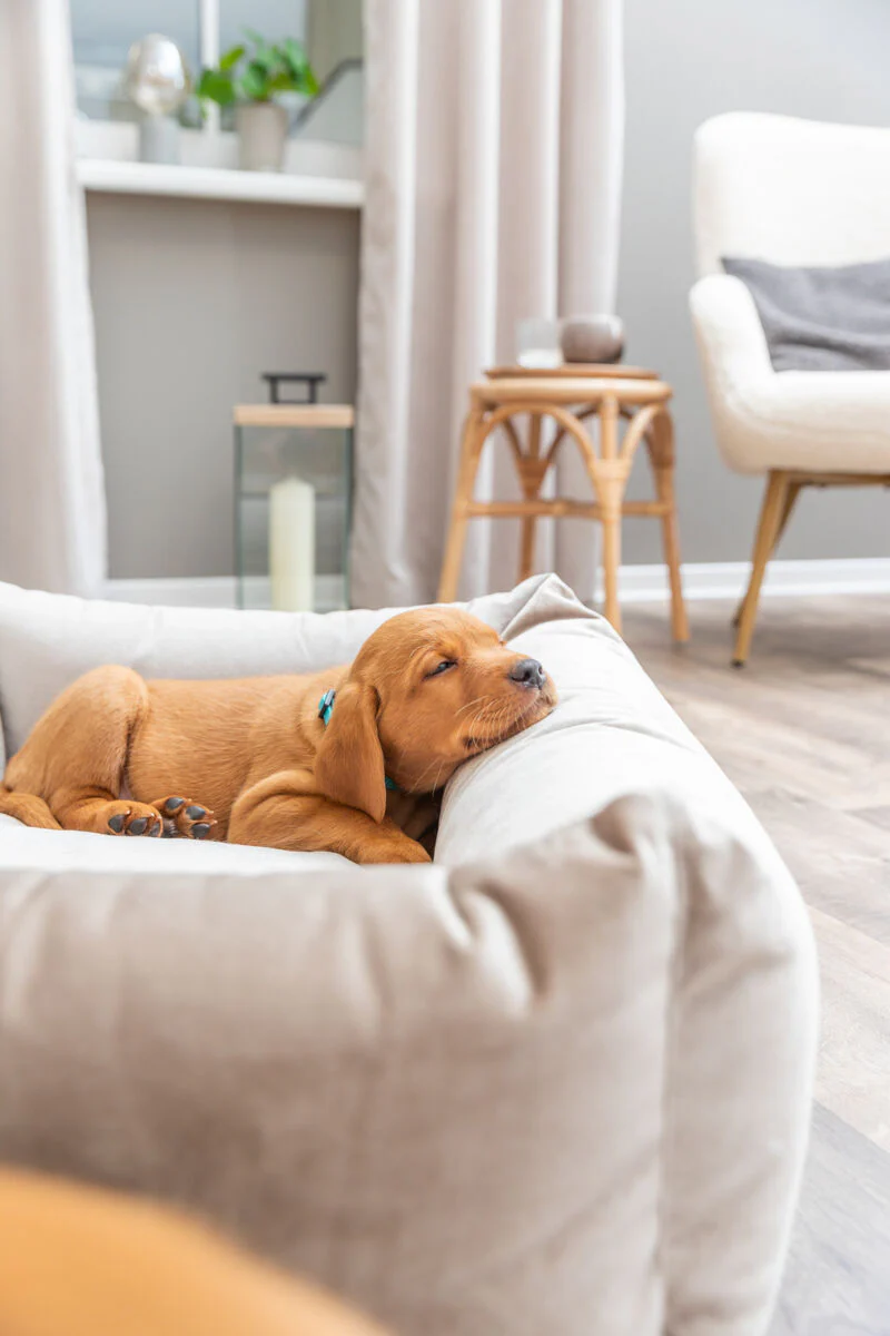 Bett Malia - Image 6