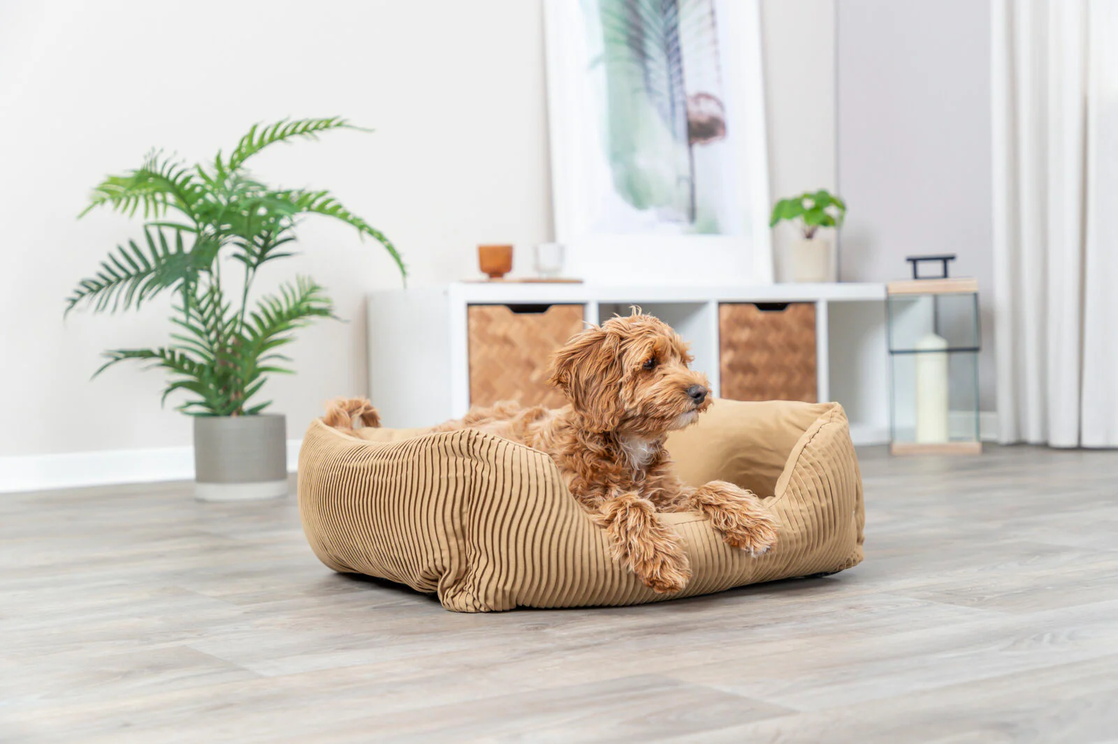 Bett Marley - Image 19