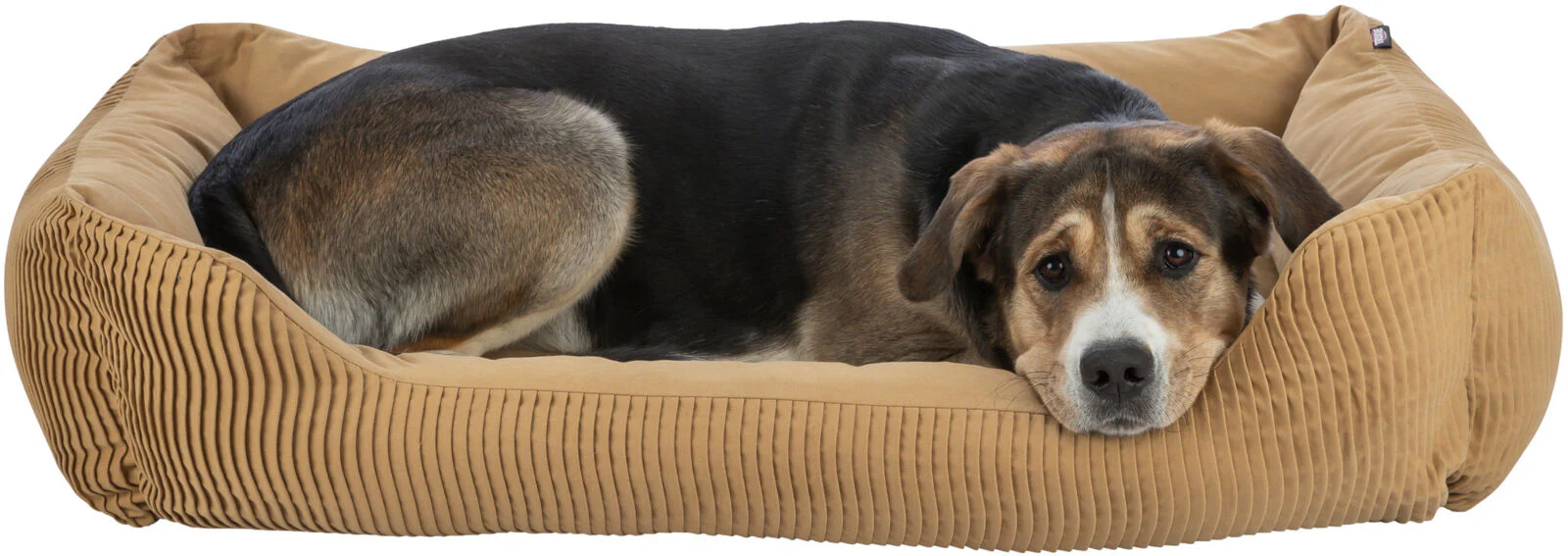 Bett Marley - Image 32