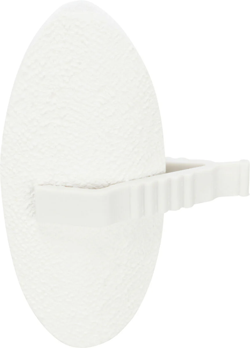 Calcium-Stein mit Sepia - Image 3