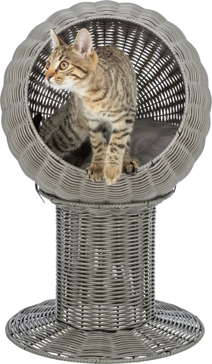 Höhle Amalia - Image 5