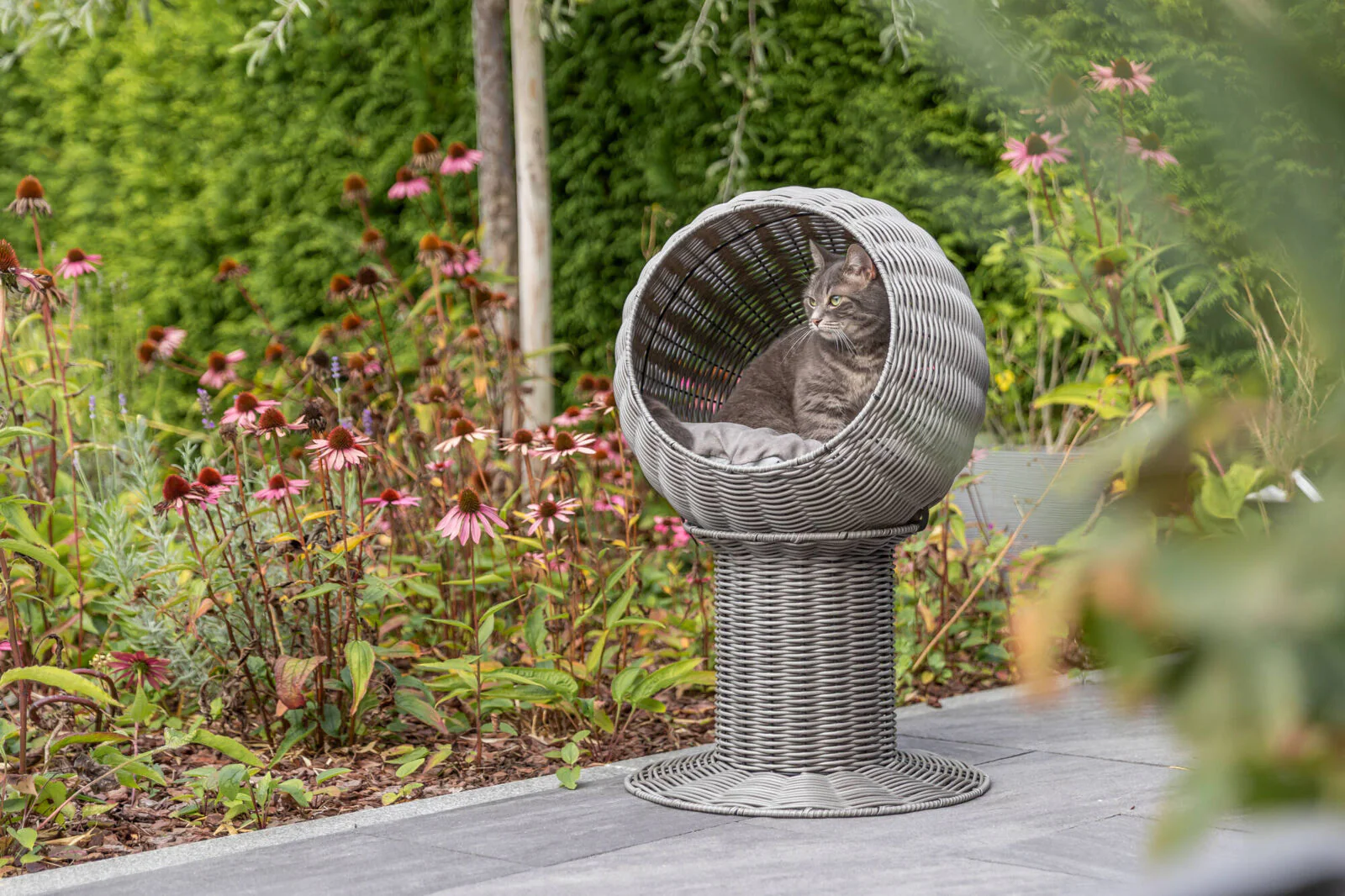 Höhle Amalia - Image 6