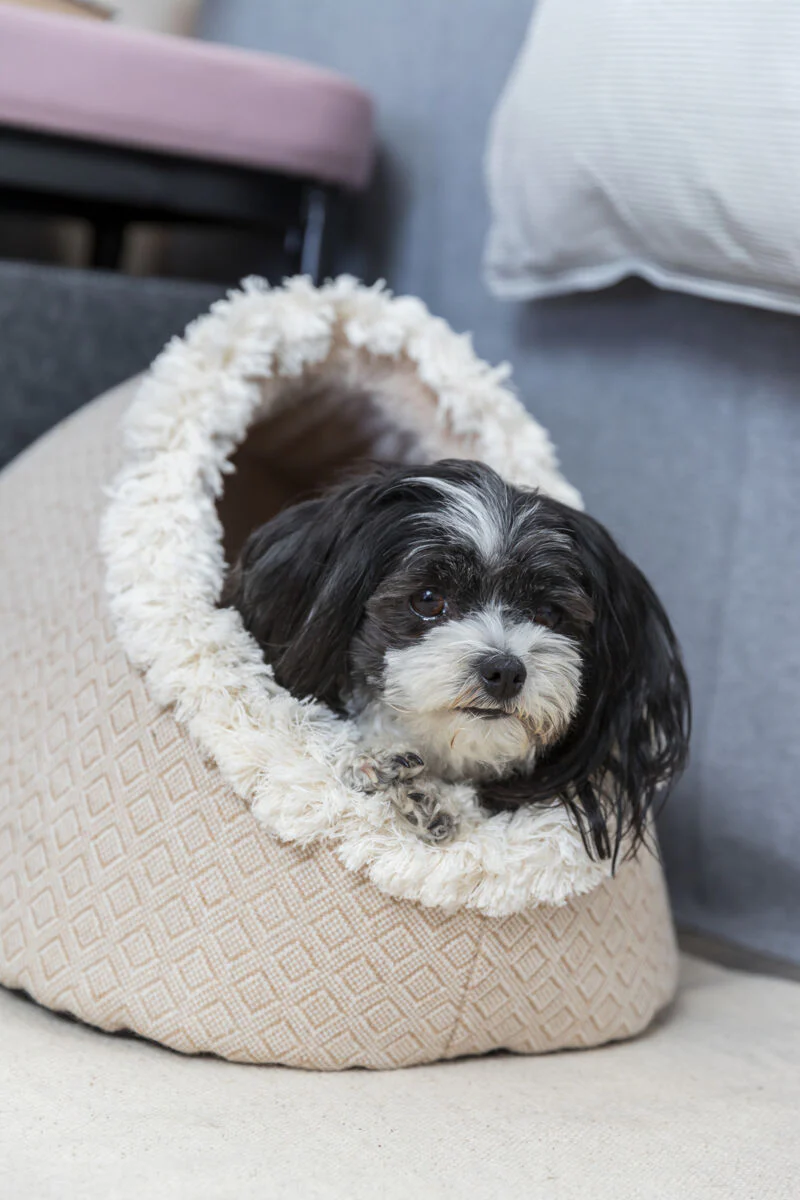 Höhle Boho - Image 5