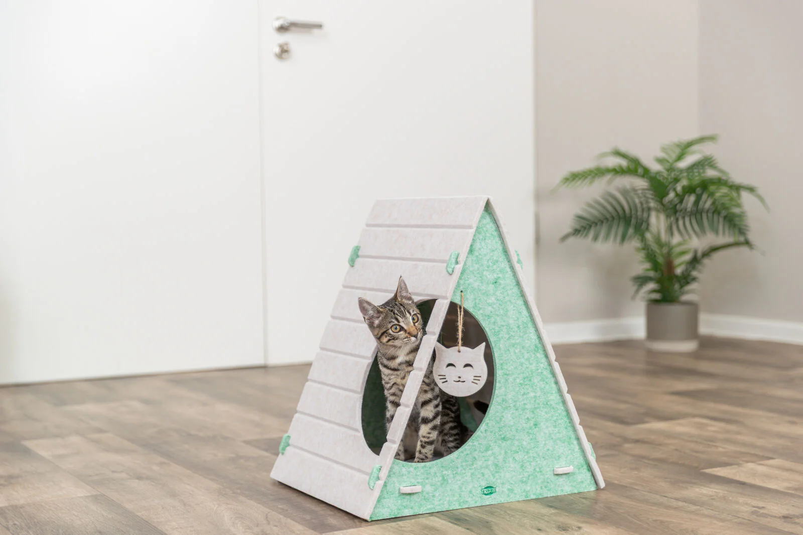 Höhle Lucy - Image 6