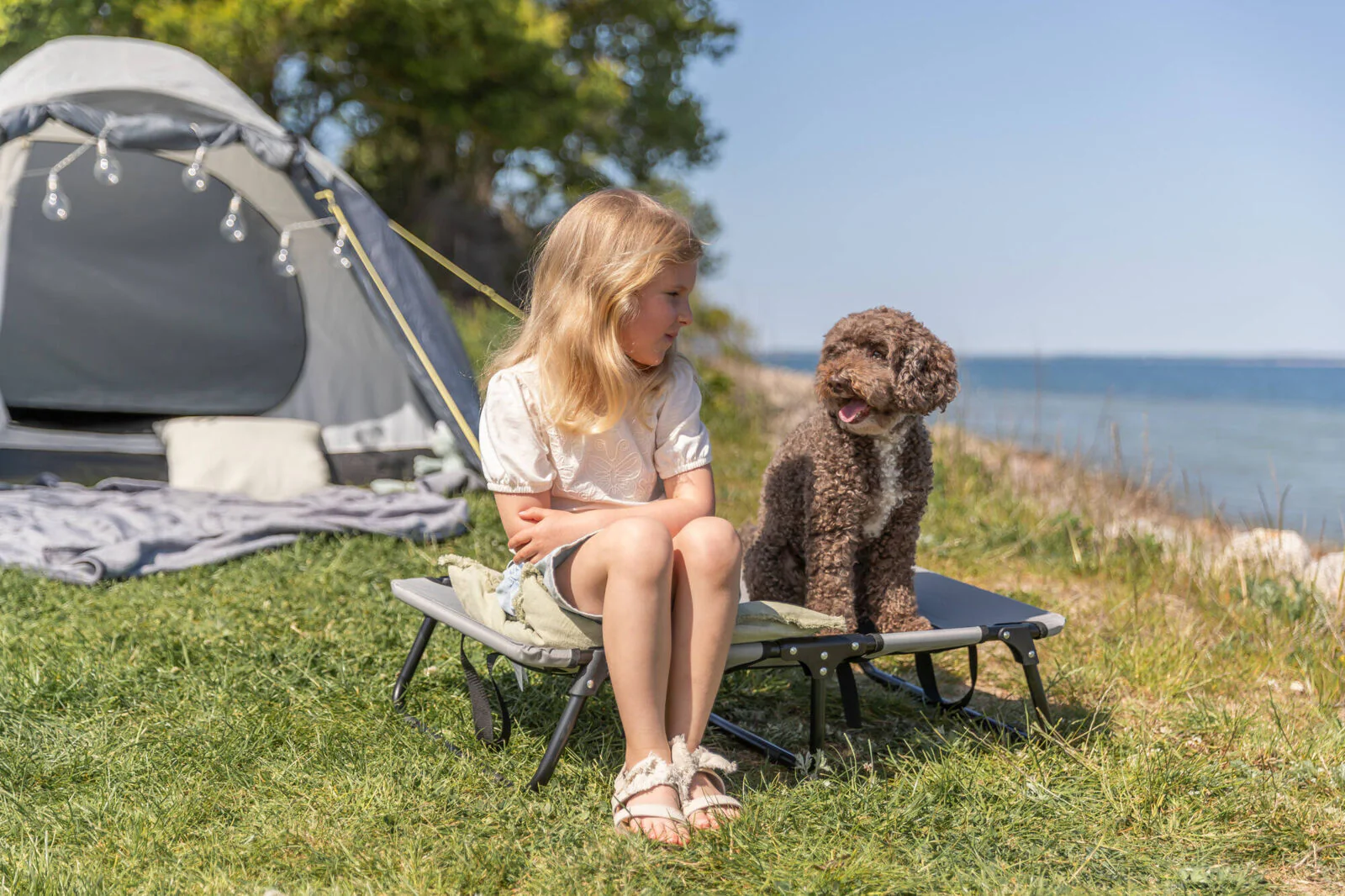 Hundeliege - Image 15