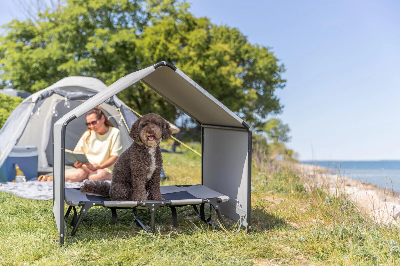 Hundeliege - Image 8