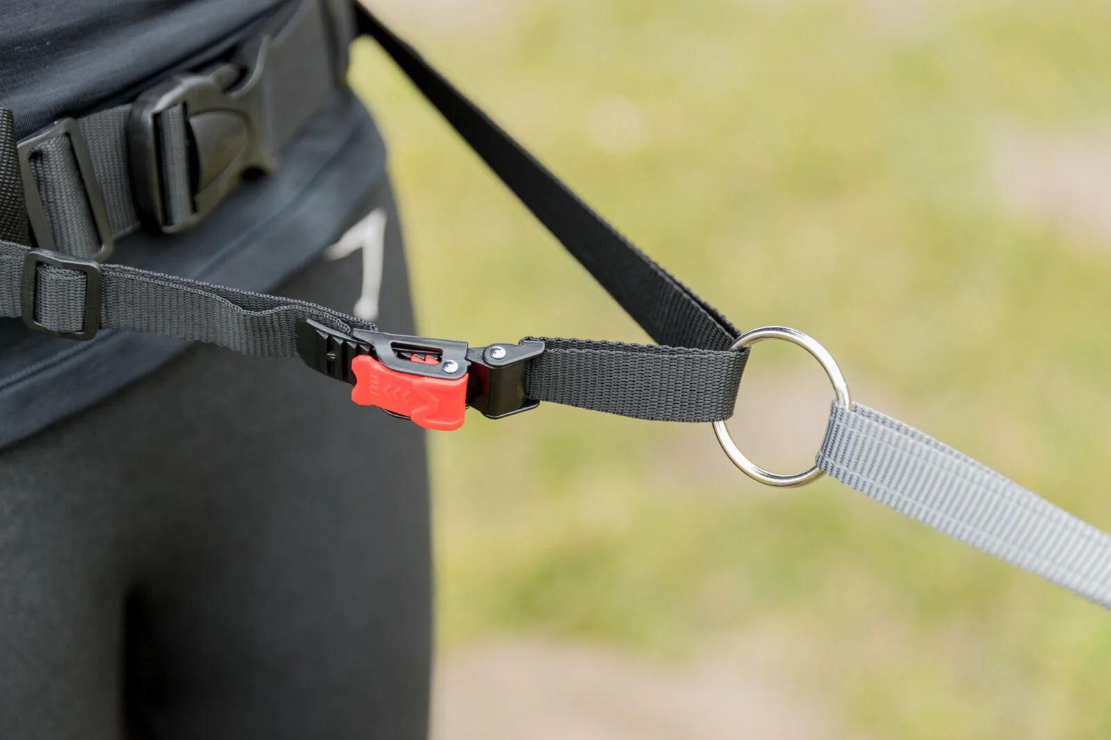 Jogginggurt mit Leine - Image 5