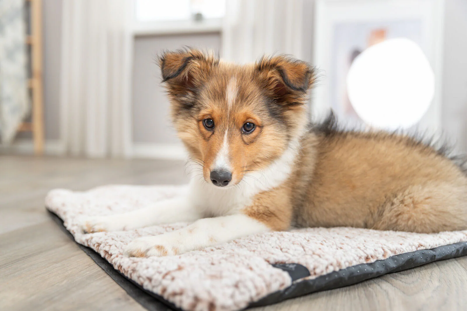 Liegematte Calida mit wärmereflektierender Einlage - Image 15