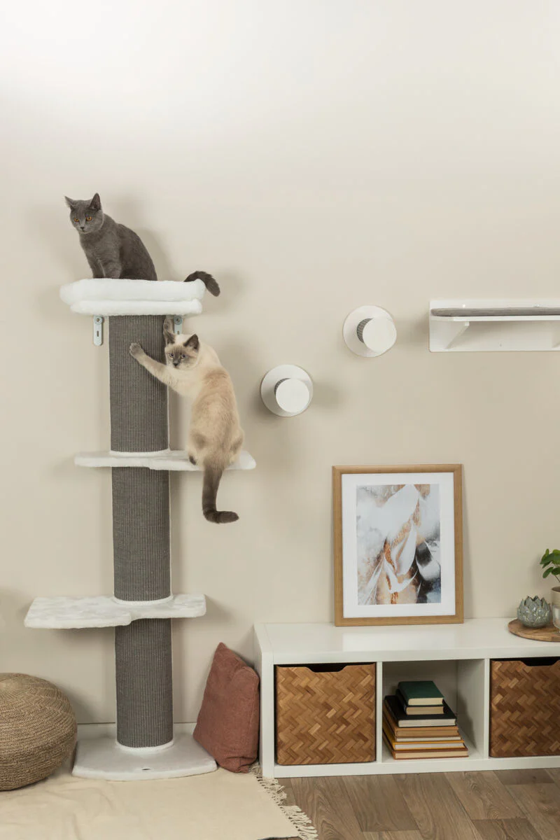 Liegeplatte zur Wandmontage - Image 9