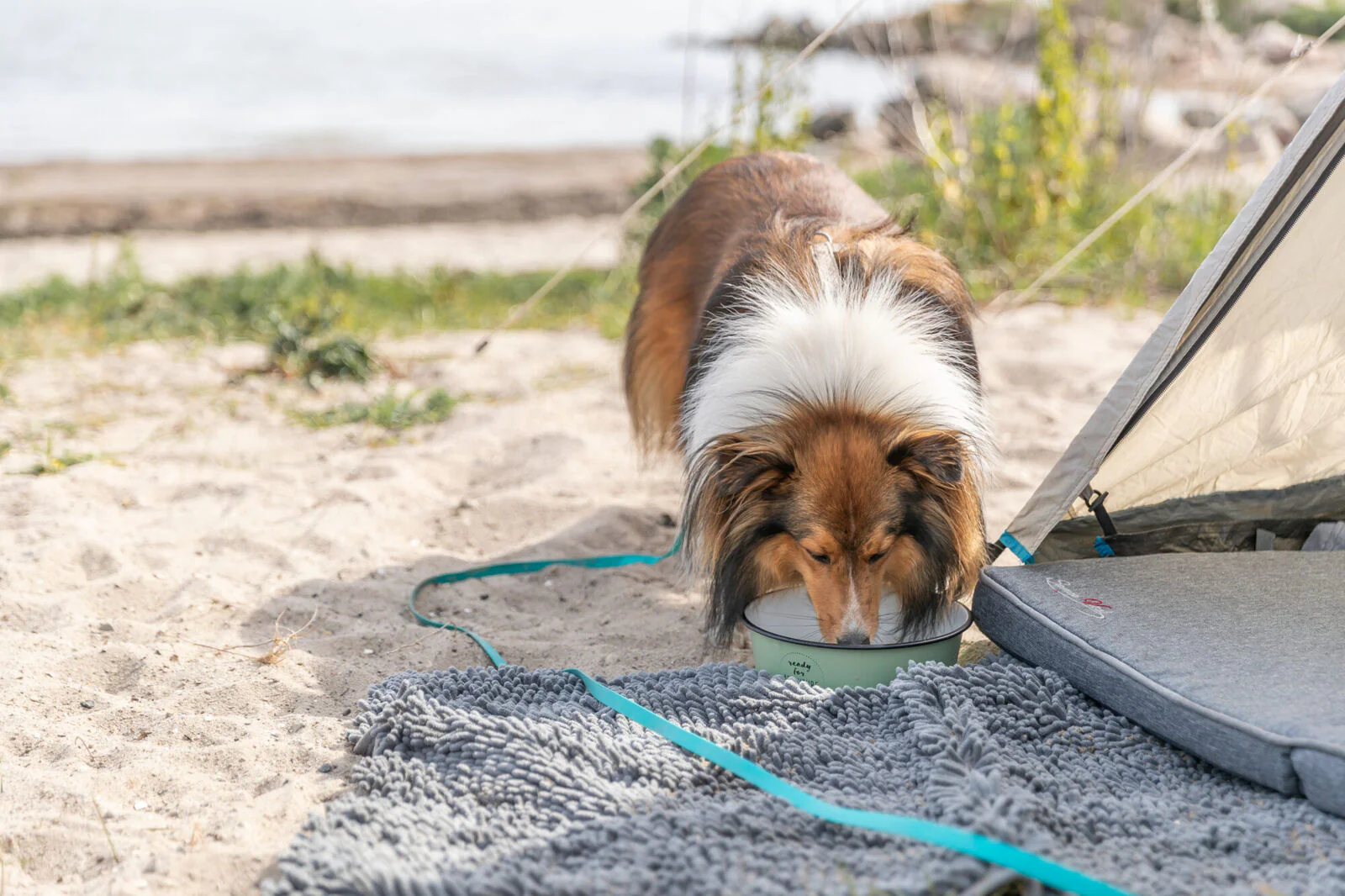Napf, Emaille/Edelstahl - Image 10