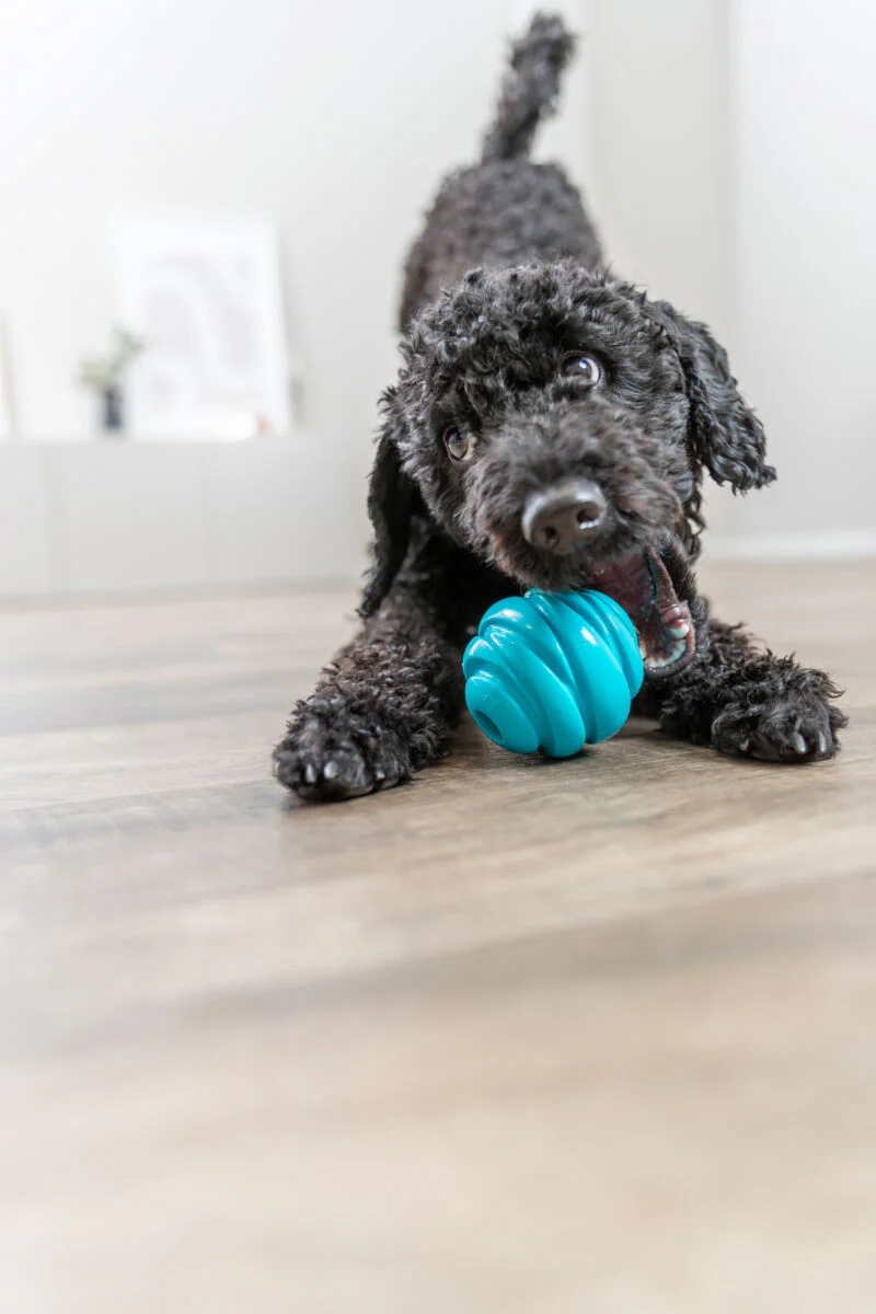 Super Strong Ball - Image 5