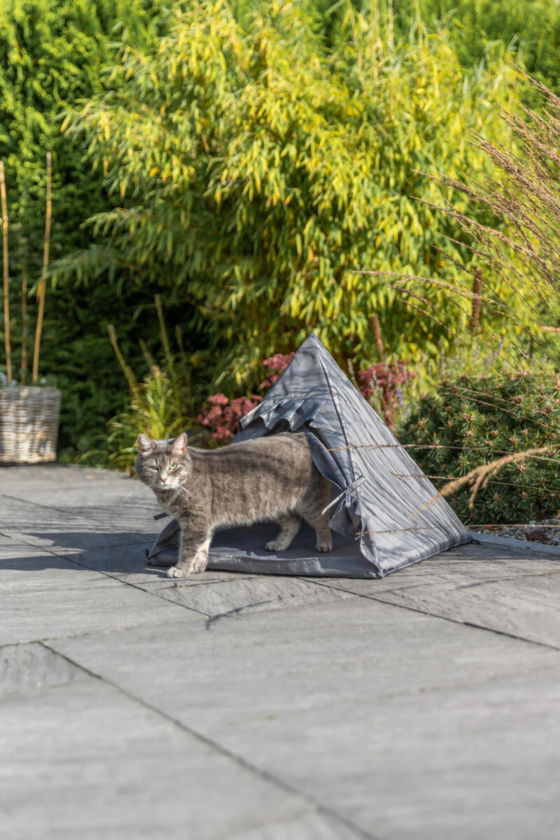 Tipi Samoa - Image 8