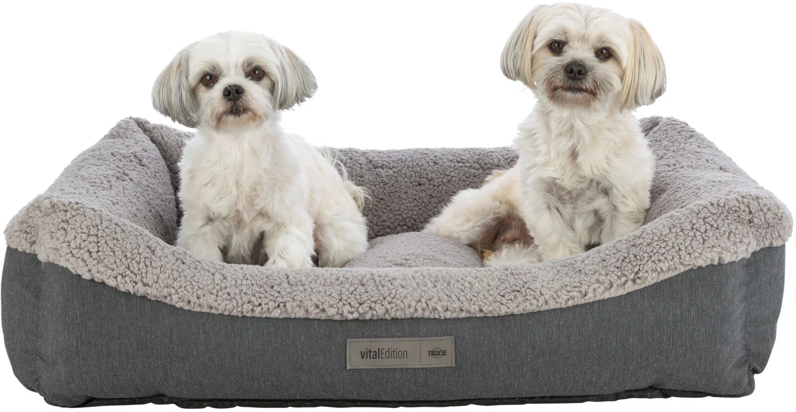 Vital Bett Bendson - Image 12