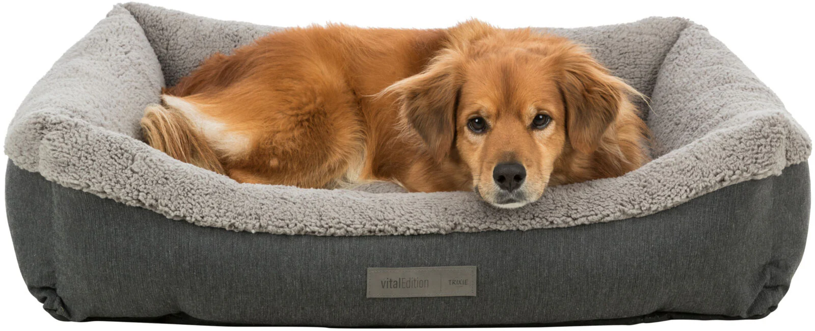 Vital Bett Bendson - Image 4