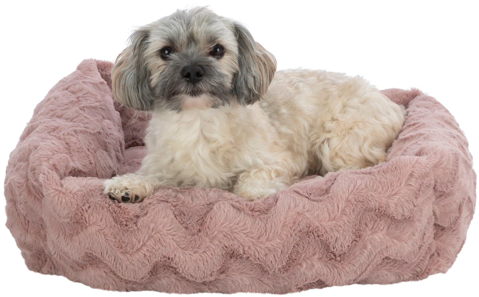 Vital Bett Loki - Image 10