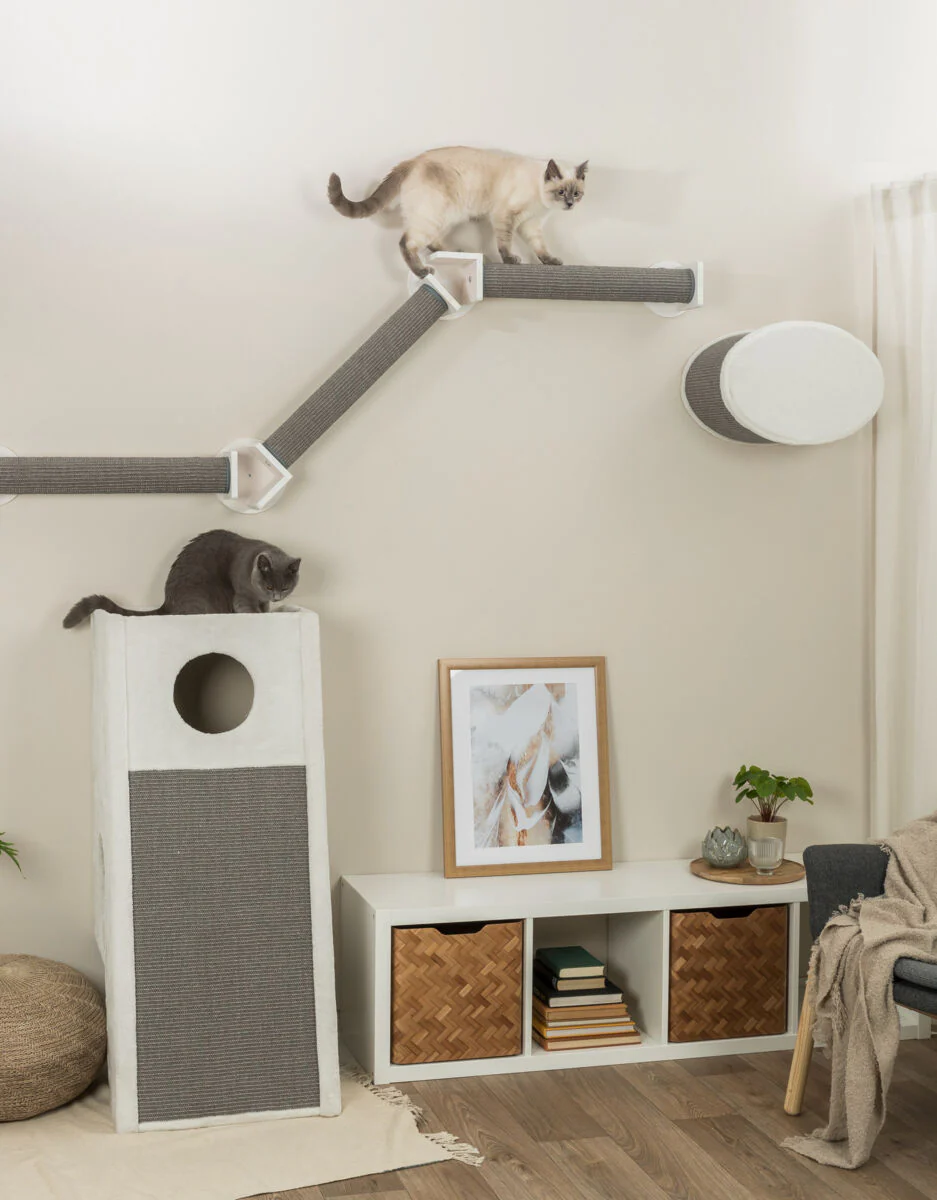 Wand-Set 2 - Image 3